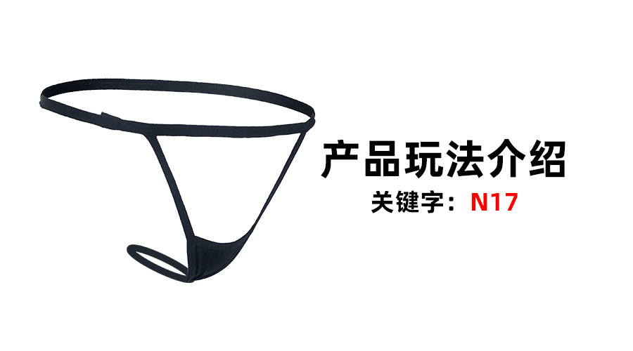 N17肛塞内裤（产品教程）